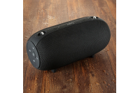 Portable speaker with 40 W power bank