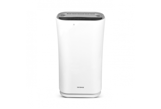 Portable air purifier with ionizer