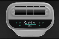 Portable air purifier with ionizer