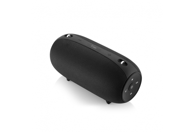 Portable speaker with 40 W power bank
