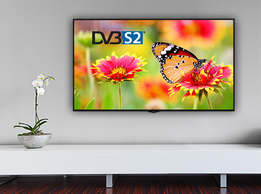 orava TV - DVB-S2