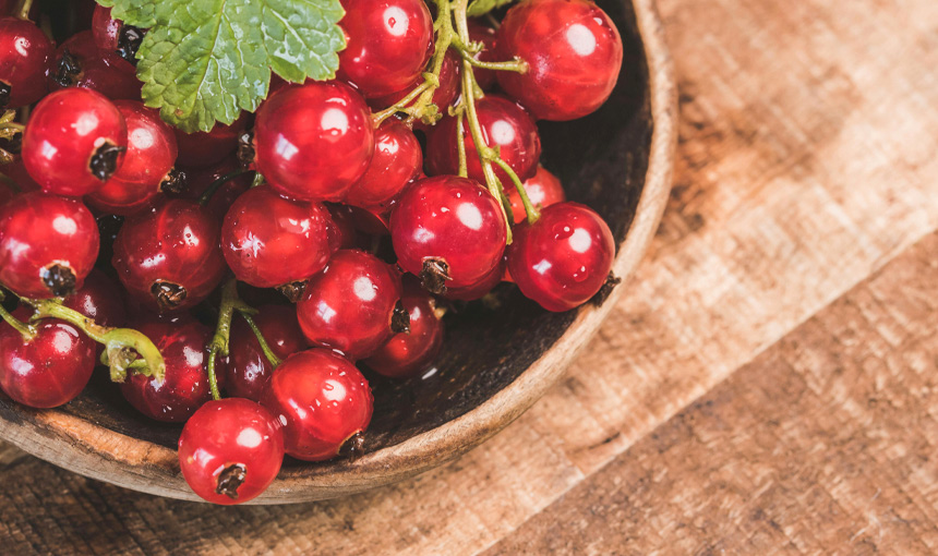 Fresh currants in a bowl